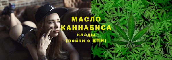 молекула духа Богданович